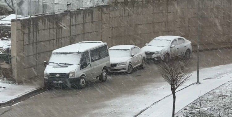 Yüksekova’da kar yağışı etkili oldu

