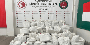 Kapıkule'de 492 kilogram uyuşturucu ele geçirildi
