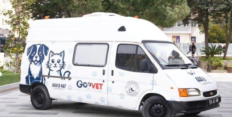 Sokak hayvanları için mobil veteriner
