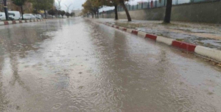 Erciş’te yağmur yağışı etkili oldu
