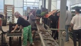 Öğrenciler çiçeklerle sürdürülebilirliği keşfetti
