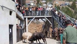 Kral ile Ateş arenaya sığmadı
