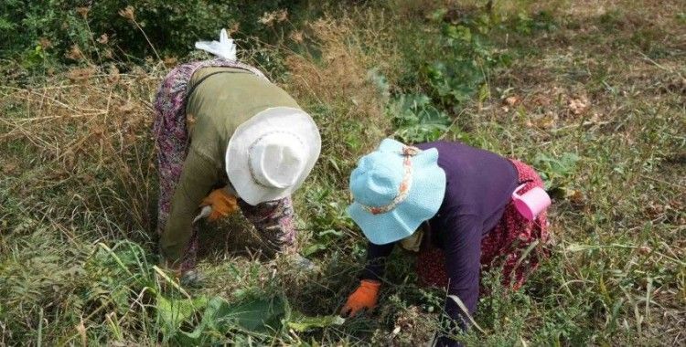 Erzincan’da patatesin toprakla buluşma yolculuğu başladı
