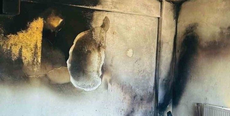 Siirt’te sobadan çıkan kıvılcımlar evi küle çevirdi
