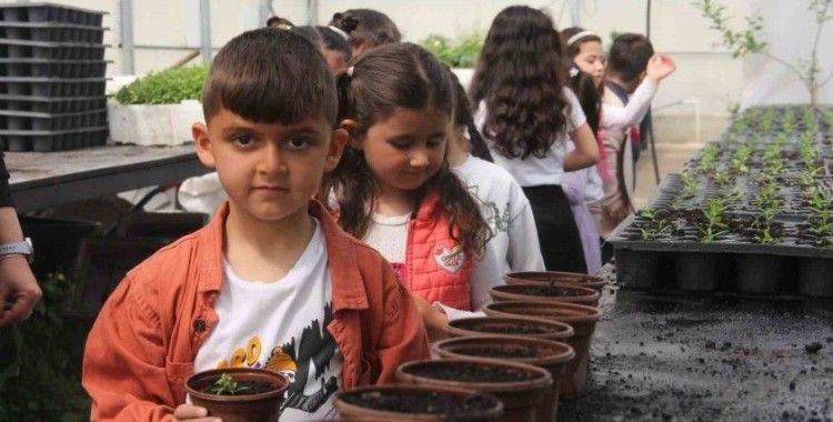 Minik öğrenciler seralarda doğayla buluştu