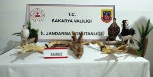 Hayvanat bahçesi gibi ev: Evinden çıkanlar hayrete düşürdü