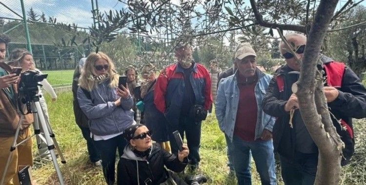 Edremit MYO’da zeytin aşılama eğitimi