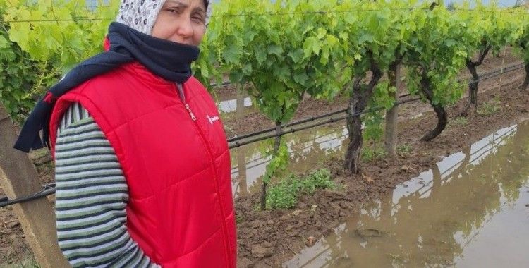 Bahar yağmurları üreticiyi sevindirdi
