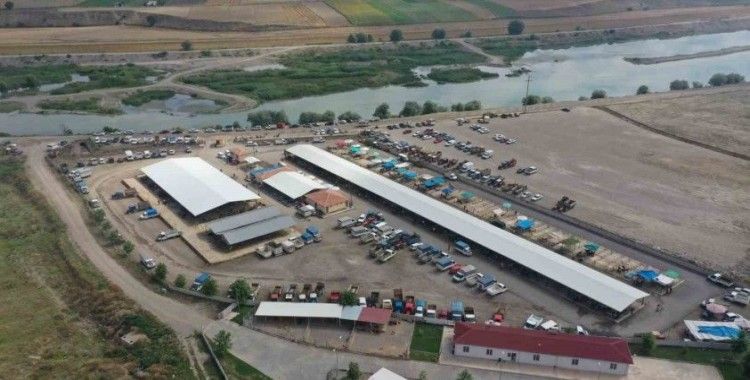 Erbaa hayvan pazarı 5 Mayıs’ta yeniden açılıyor

