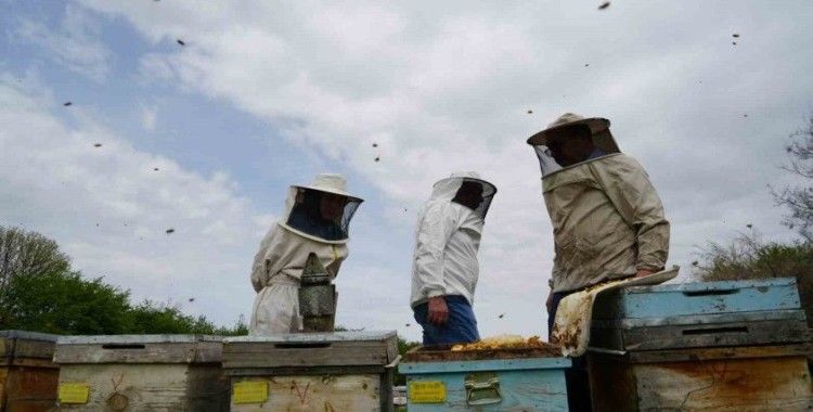 Erzincan’da kış uykusundan uyanan arılar yeni sezona hazırlanıyor
