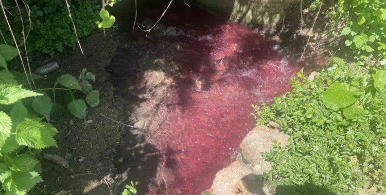 Turşu sulu renkli dereye çiftçiler de uzmanlar da tepkili
