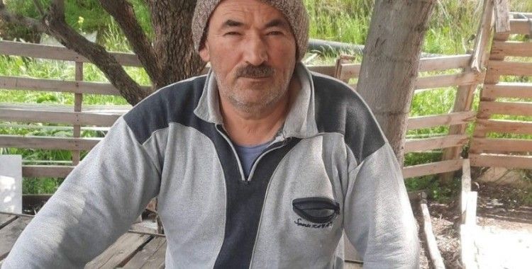 Kurt, kurbanlık kuzuları telef etti
