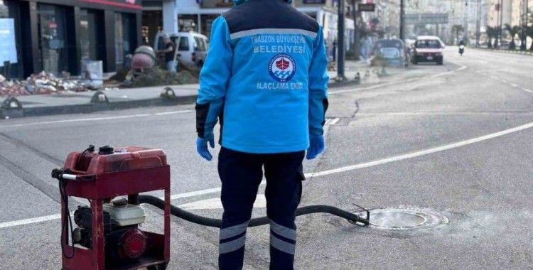 Trabzon’da sıcaklar başlamadan vektörle mücadele başladı
