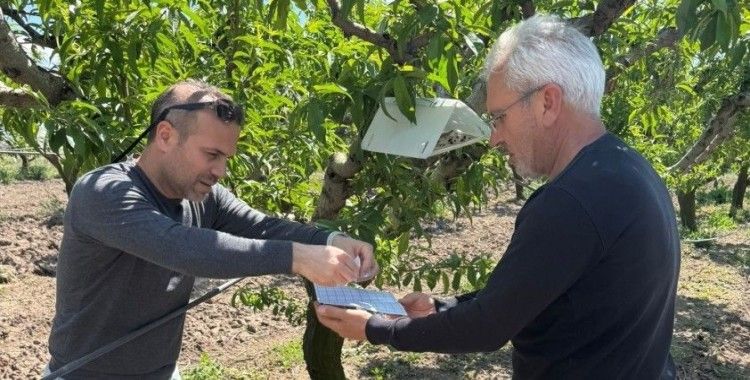 Elazığ’da şeftali güvesine karşı feromon tuzak
