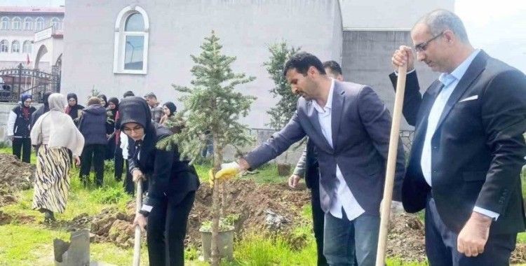 Yeşeren Umutlar, Filizlenen Gelecek
