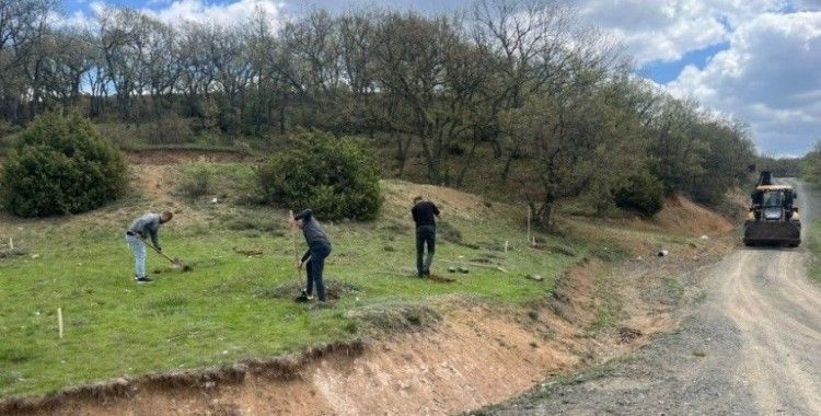 Tavşanlı Kuruçay Göleti çevresi hükümlülerin ellerinden yeşeriyor
