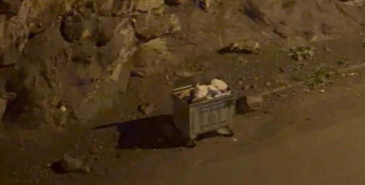 Kurt sürüsü ilçe merkezine indi
