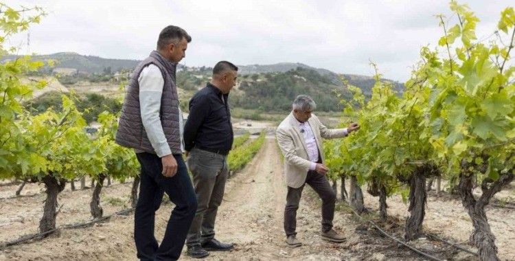 Mersin’de üreticilere damlama sulama sistemi anlatılıyor
