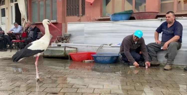 Yaren’in rakibi Bilal Leylek baba oldu
