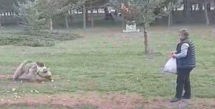 Çemşit ismini verdiği bozayıyı besledi, eşi kayıt altına aldı
