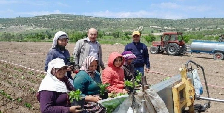 Selendi CHP tarlada çalışan anneleri yalnız bırakmadı
