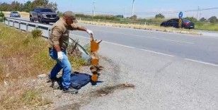 Başkan Sürücü: "Çok nadir ve önemli bir türü daha kaybettik"
