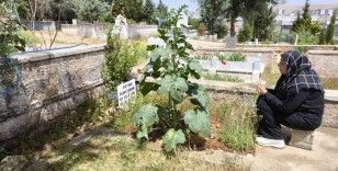 Feray Şahin, Anneler Günü’nde mezarı başında anıldı
