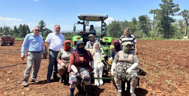 Emekçi kadınlar Anneler Gününü tütün tarlasında kutladı
