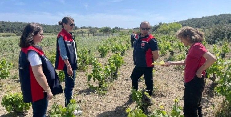 Bozcaada’da organik tarım dentimleri yapıldı
