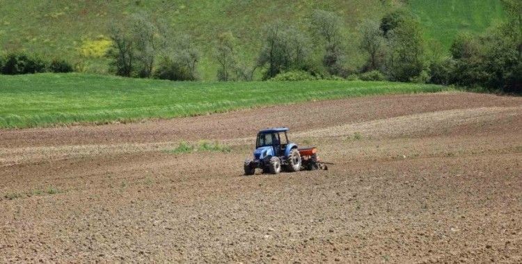 Kocaeli’de mısır tohumları toprakla buluşuyor
