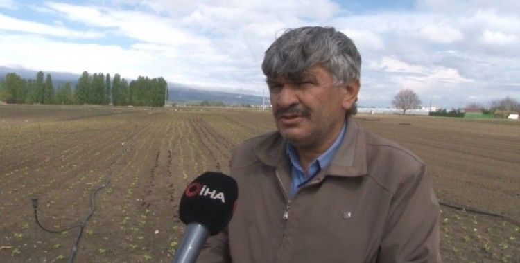 Eskişehir’de yetersiz yağışlar sebze ve meyve fiyatlarını olumsuz etkiledi
