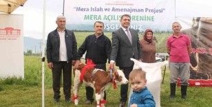 Düzce’de ıslahı tamamlanan meralar hizmete açıldı
