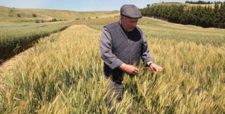 Çanakkale’de tarla günü düzenlendi
