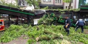 Dev ağaç kafenin üzerine devrildi, facia teğet geçti
