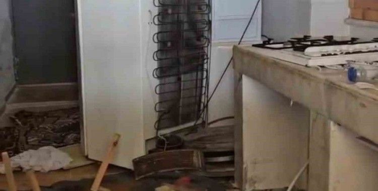 Ayılar bu kez belediye başkanının evine girdi