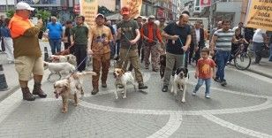 Profesyonel avcılar Devrek’te buluştu
