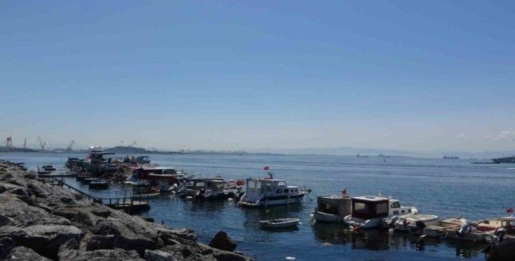 Pendik’te balıkçılara sürpriz: Oltaya köpek balığı takıldı
