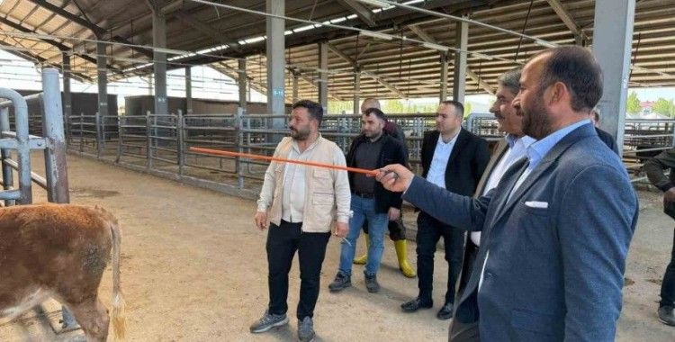 Belediye Başkanı canlı hayvan borsası ve et entegre  tesisinde incelemelerde bulundu.
