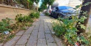 Mera değil Efeler’in merkez mahallesi

