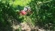 Sakarya’da otomobil şarampole uçtu: Karı-koca yaralandı
