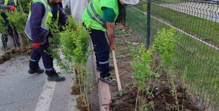 Büyükşehirden ‘doğa dostu’ hizmetler
