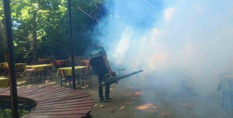 Karacasu’da sinek ve larva ilaçlaması yapıldı