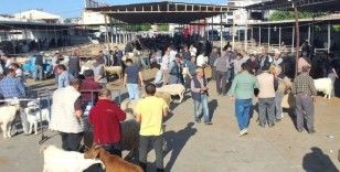 Havran’da Kurban Bayramı öncesi hayvan pazarı denetlendi

