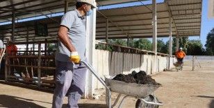 Nazilli Belediyesi’nden hayvan pazarında temizlik seferberliği
