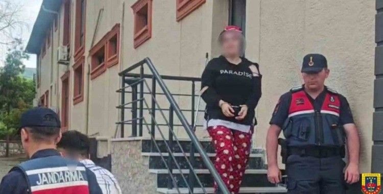 Sahte alıcılar 4 küçükbaş hayvanı çalıp kaçtı: Jandarma yakalandı
