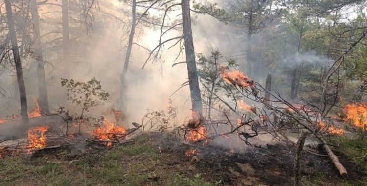 Bolu’da ormanlık alana düşen yıldırım yangına neden oldu