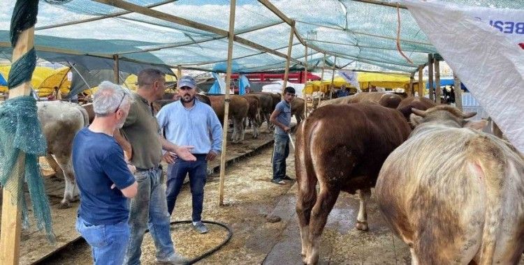 Sincan’da Kurban Bayramı hazırlıkları tamam
