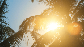 Kurban Bayramı'nda hava sıcaklıkları nasıl olacak?