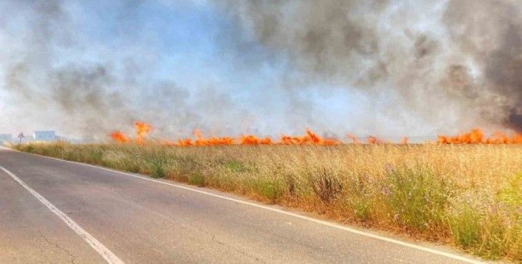Tekirdağ’da 250 dönüm buğday yandı
