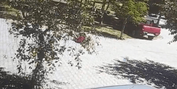 Başıboş köpeklerin saldırdığı çocuk vatandaşın yardımıyla kurtarıldı